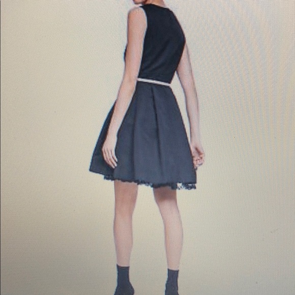 NWT Jason Wu Blk Flared Dress w/ Nude Patent Belt - Picture 4 of 8